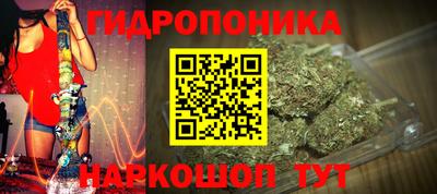ПСИЛОЦИБИНОВЫЕ ГРИБЫ Бердск