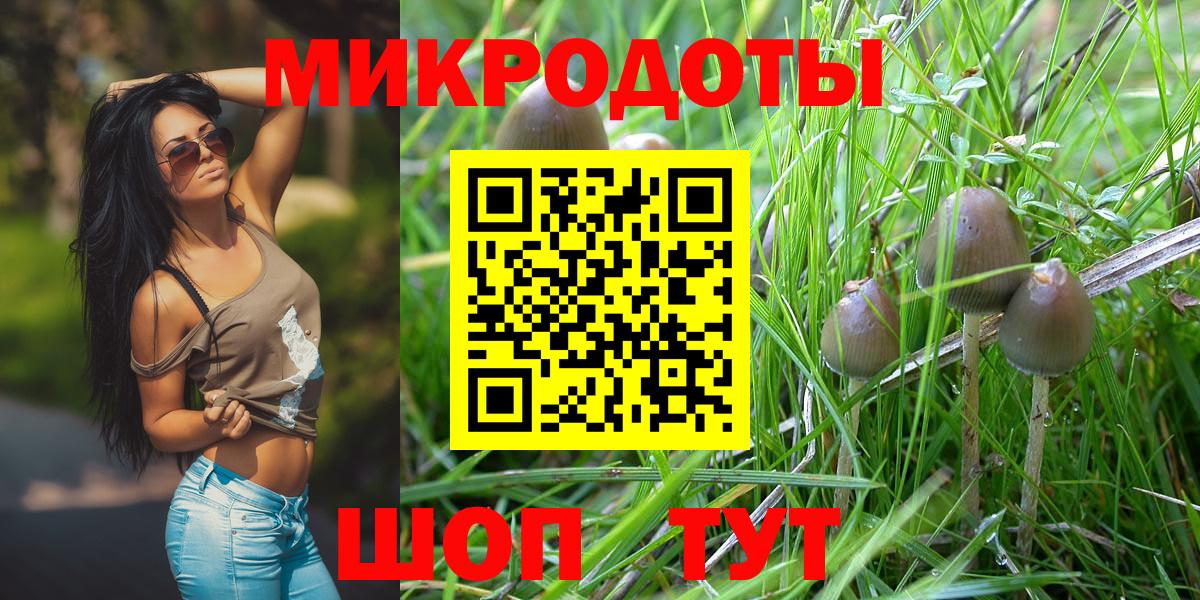 наркотики  Вход с VPN  Всеволожск  Галлюциногенные грибы Psilocybe 